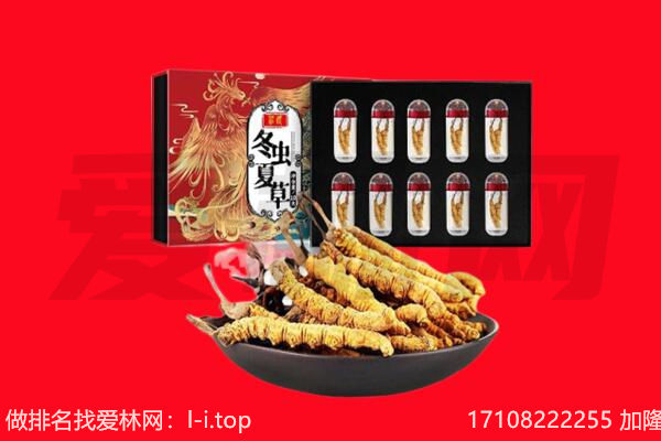 大姚县回收虫草.jpg